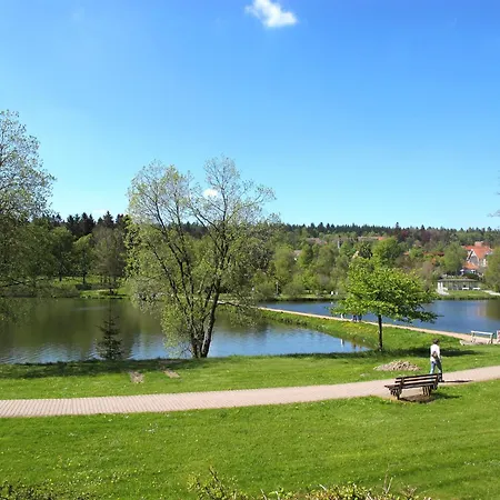 شقة Elwi By Interhome جوسلار